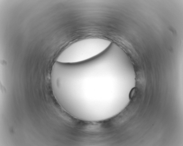 X0000091360369200708101059
