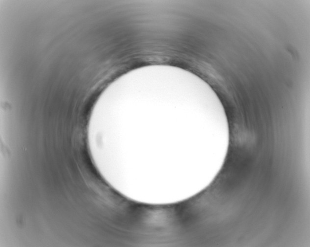 X0000091360370200708101059