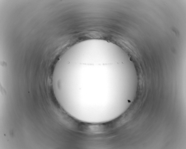 X0000091360371200708101059