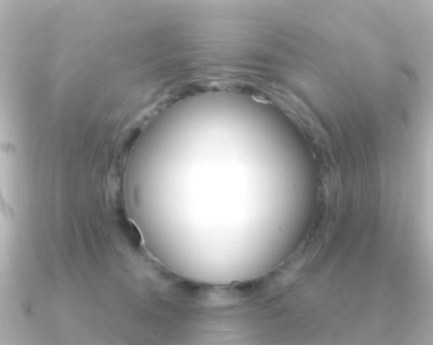 X0000091360372200708101059