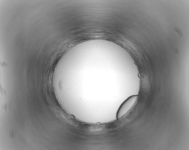 X0000091360373200708101059