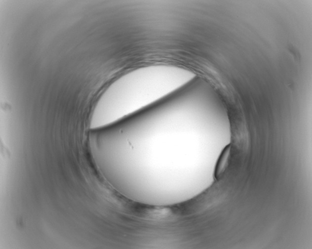 X0000091360374200708101059