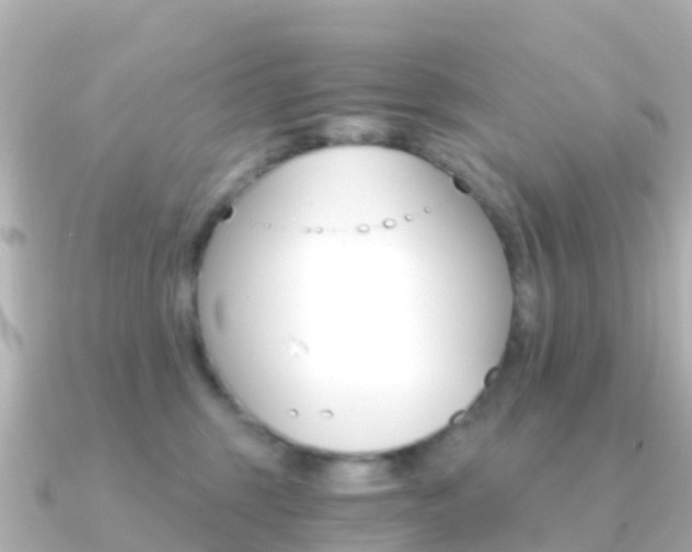 X0000091360375200708101059