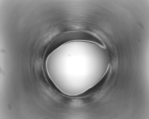 X0000091360376200708101059