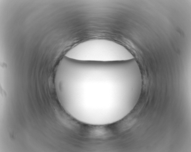 X0000091360377200708101059