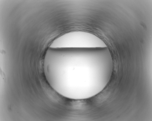 X0000091360378200708101059