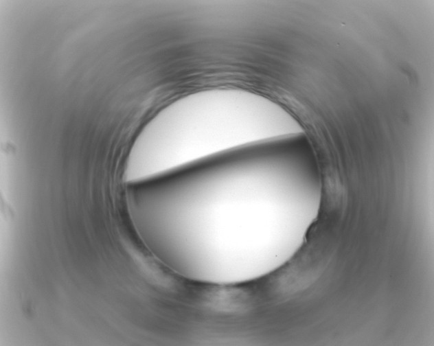 X0000091360379200708101059