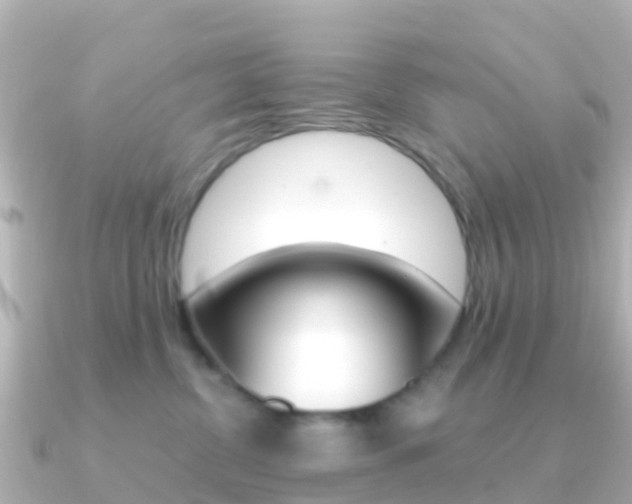 X0000091360380200708101059