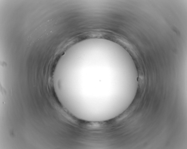 X0000091360381200708101059