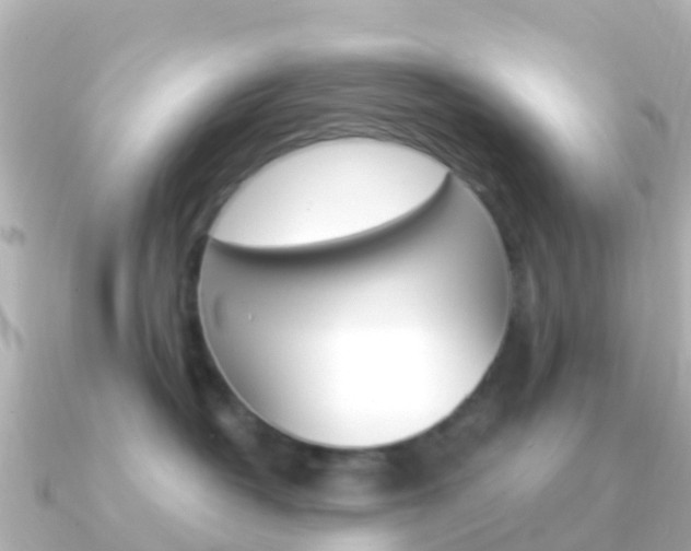 X0000091360382200708101059