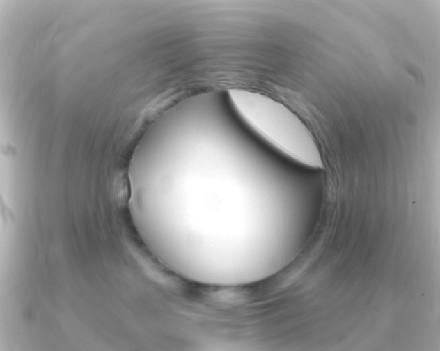 X0000091360383200708101059