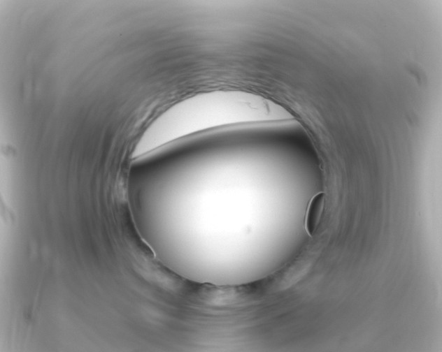 X0000091360384200708101059