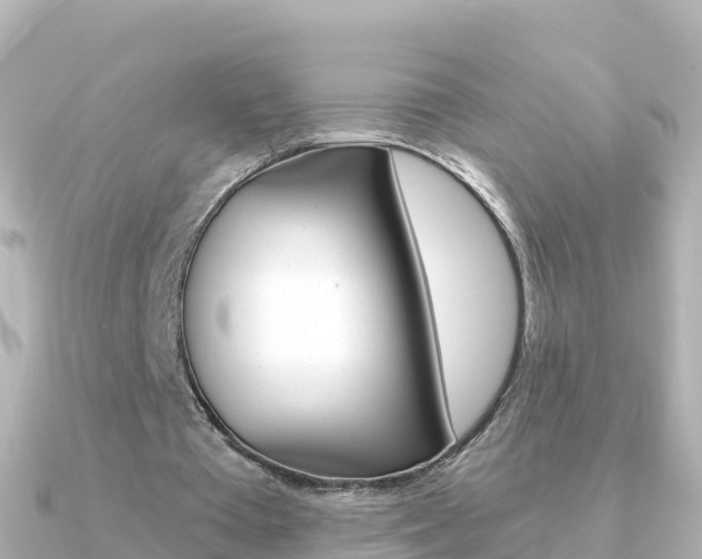 X0000091360385200708101058