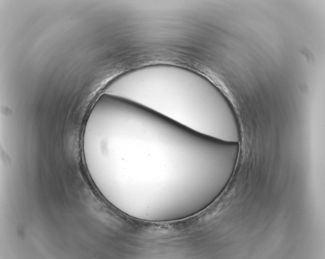 X0000091360386200708101058
