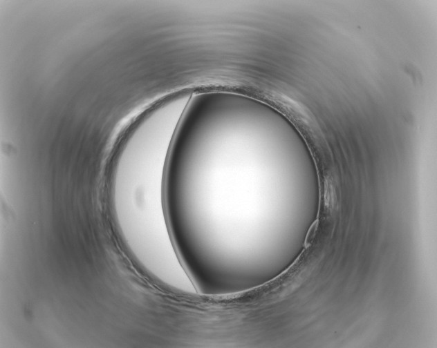 X0000091360388200708101058