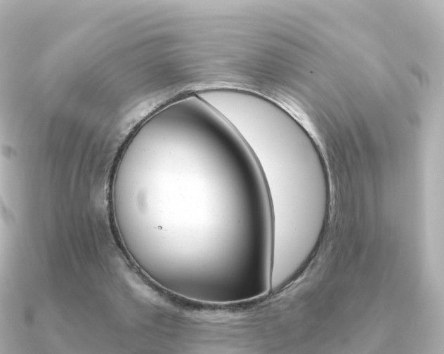 X0000091360389200708101058