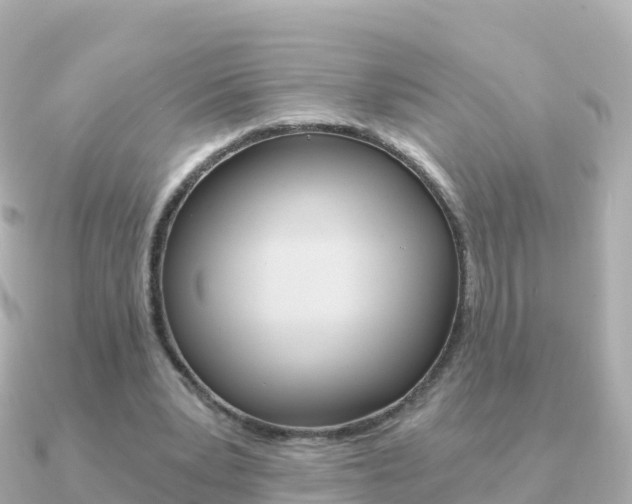 X0000091360391200708101058