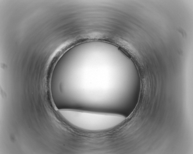 X0000091360392200708101058