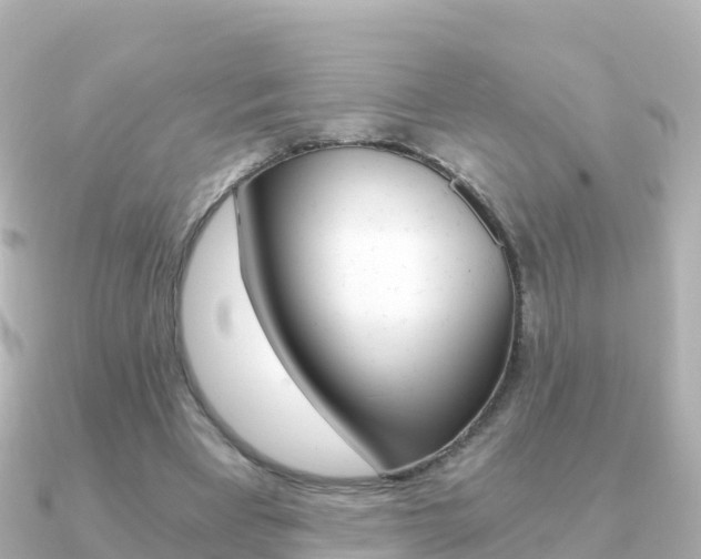 X0000091360393200708101058