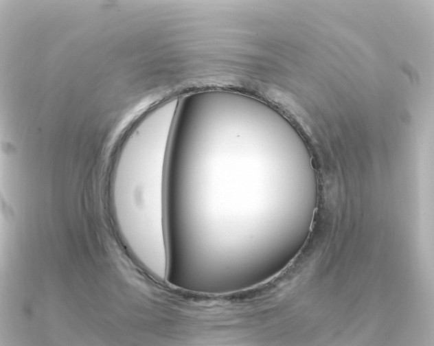 X0000091360395200708101058