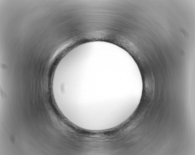X0000091360396200708101058
