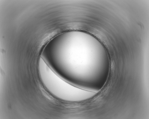 X0000091360397200708101058