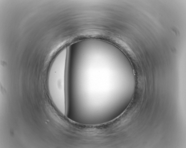 X0000091360399200708101058