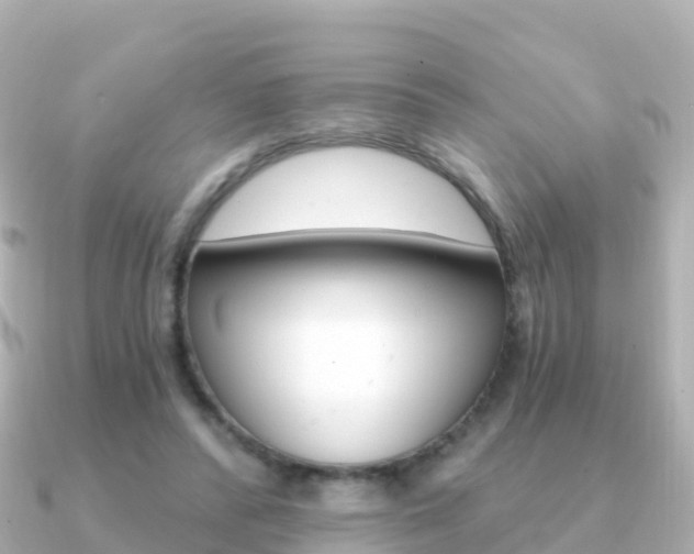 X0000091360400200708101058