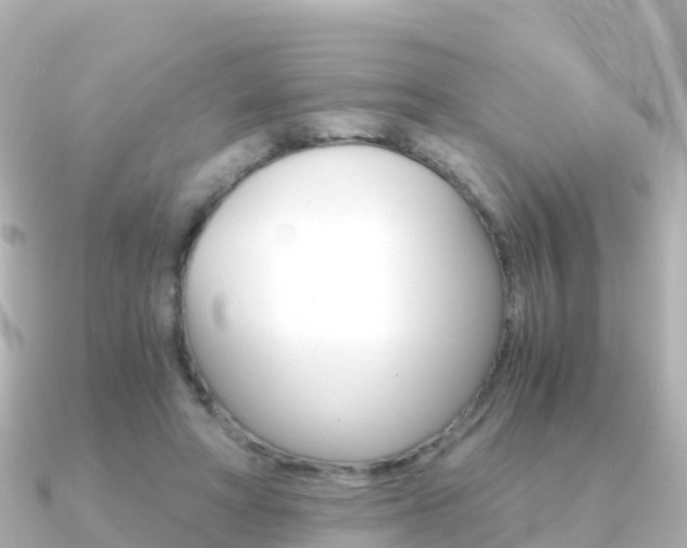 X0000091360402200708101058