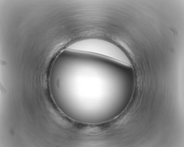 X0000091360403200708101058