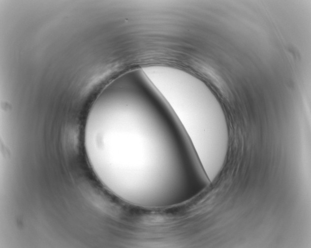 X0000091360404200708101058