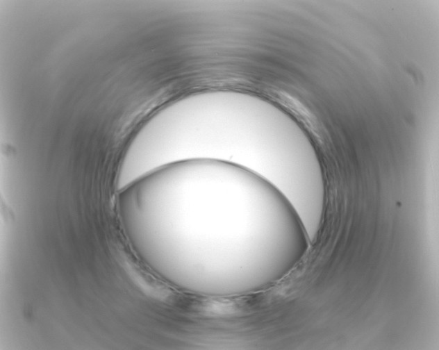 X0000091360405200708101058