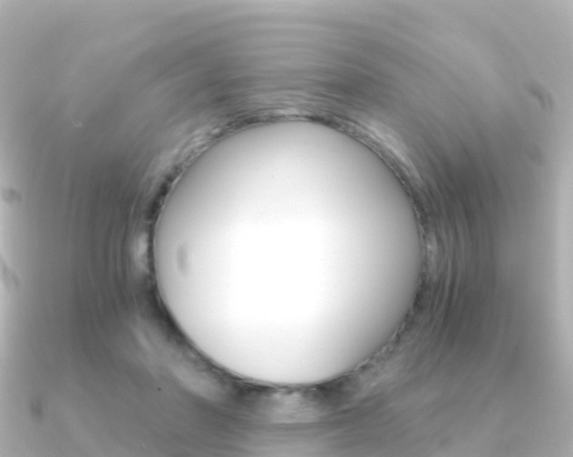 X0000091360406200708101058