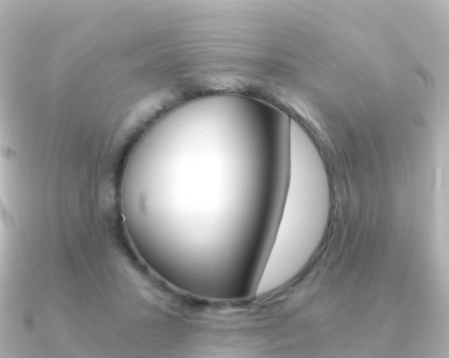 X0000091360407200708101058