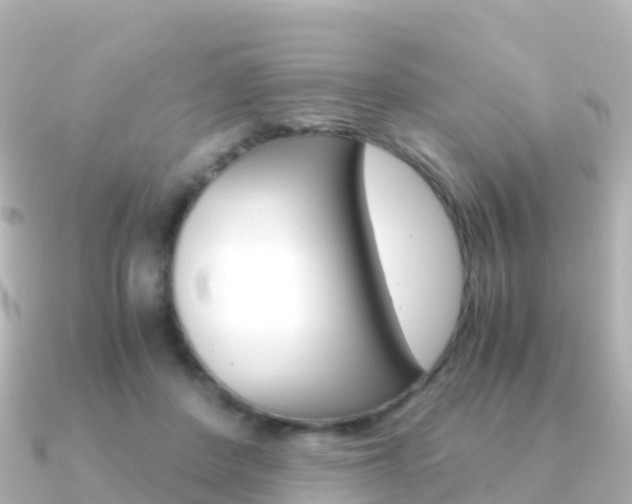 X0000091360408200708101058