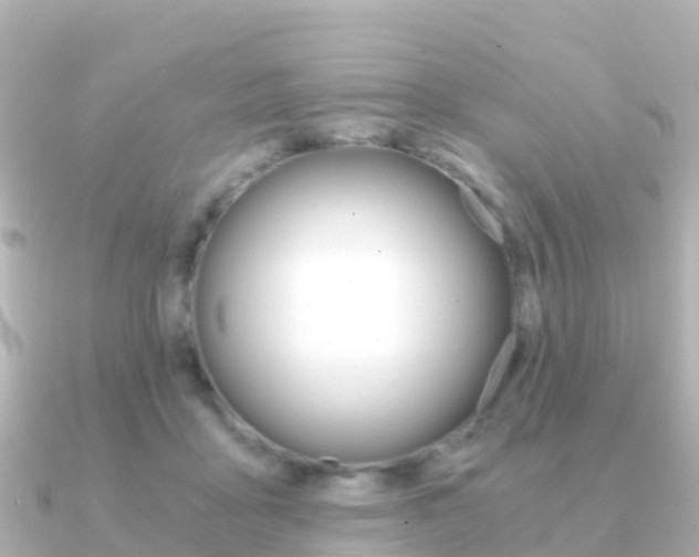 X0000091360411200708101058