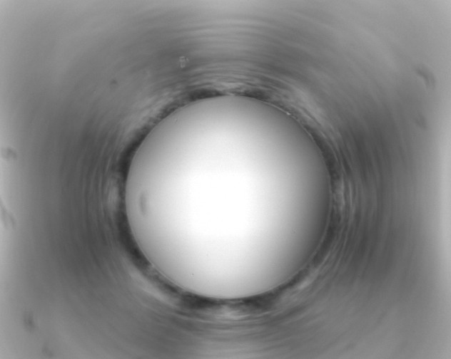 X0000091360412200708101058