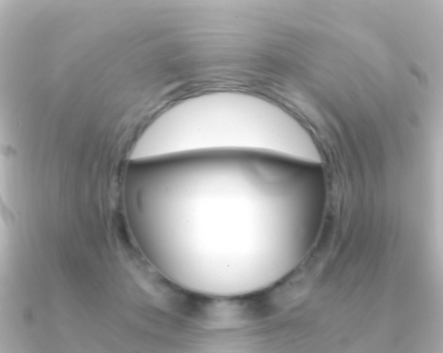 X0000091360413200708101058
