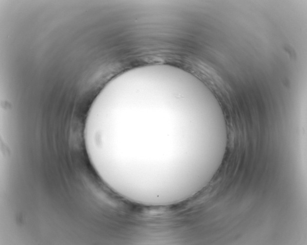 X0000091360414200708101058