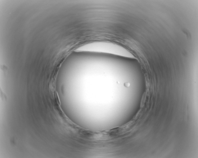 X0000091360415200708101058