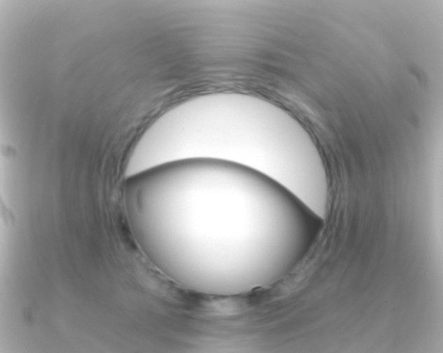 X0000091360417200708101058