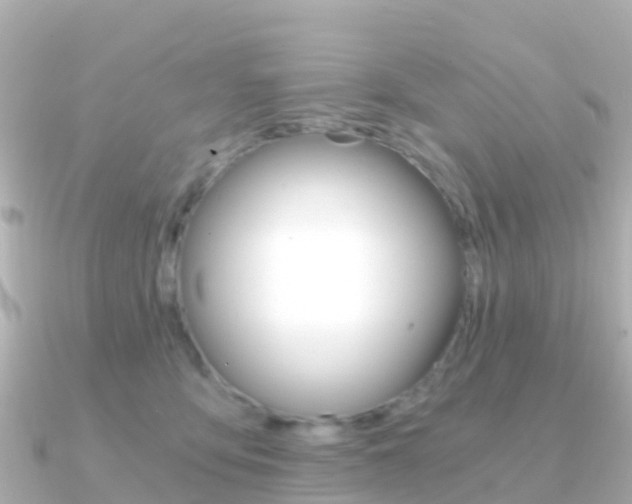 X0000091360419200708101058