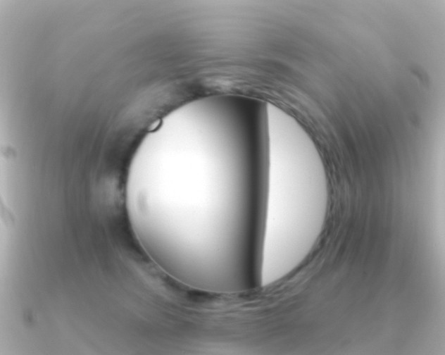 X0000091360420200708101058
