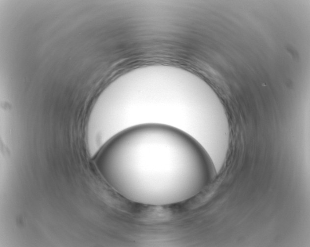 X0000091360421200708101058
