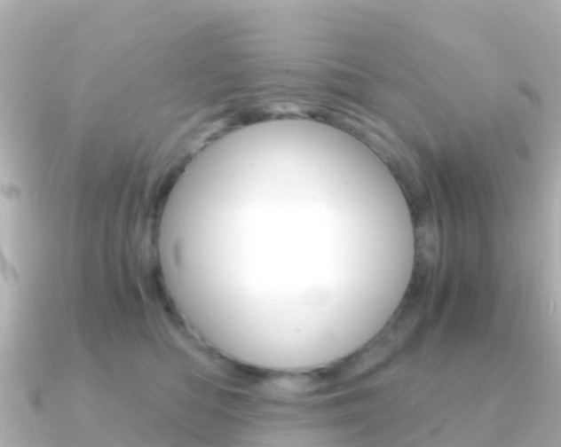 X0000091360422200708101058