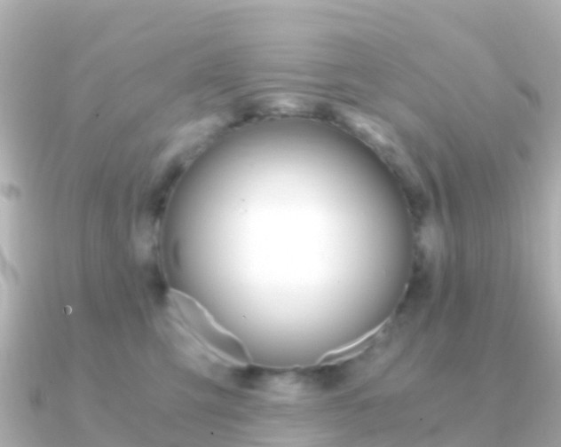 X0000091360423200708101058