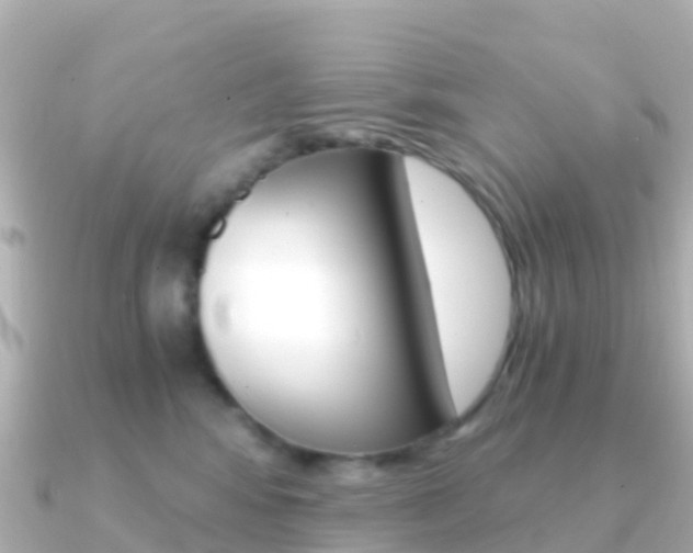 X0000091360424200708101058