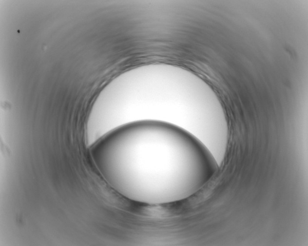 X0000091360425200708101058