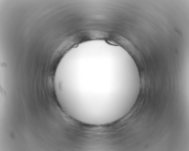 X0000091360426200708101058
