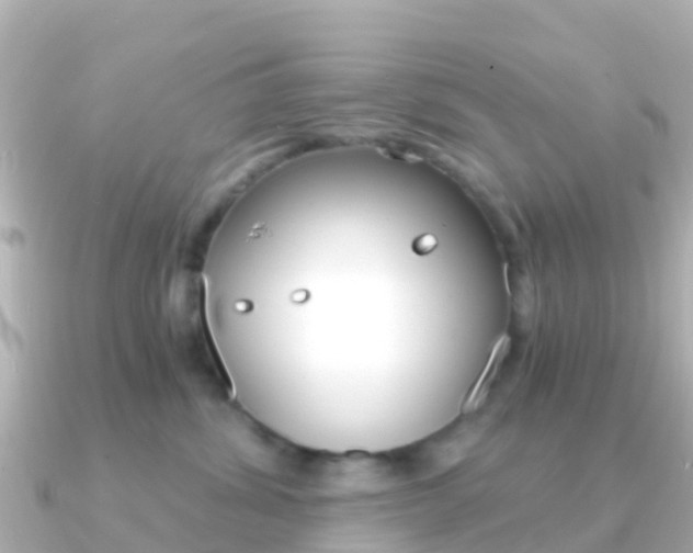 X0000091360428200708101058